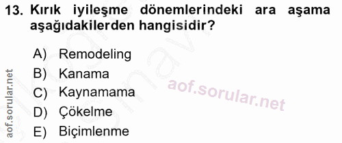 13. soru: Kırık iyileşme dönemlerindeki ara aşama aşağıdakilerden hangisidir? A) Remodeling B) Kanama C) Kaynamama D) Çökelme E…