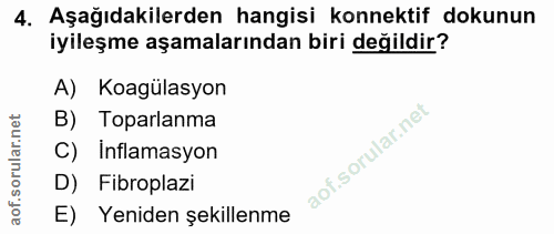 4. soru: Aşağıdakilerden hangisi konnektif dokunun iyileşme aşamalarından biri değildir? A) Koagülasyon B) Toparlanma C) Infla…