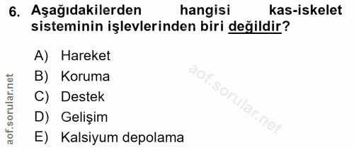 6. soru: Aşağıdakilerden hangisi kas-iskelet sisteminin işlevlerinden biri değildir? A) Hareket B) Koruma aof.sorl C) Destek u…