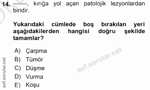 14. soru: kırığa yol açan patolojik lezyonlardan biridir. Yukarıdaki cümlede boş bırakılan yeri aşağıdakilerden hangisi doğru ş…
