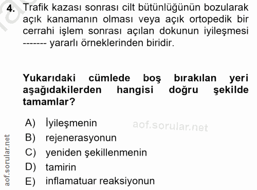 4. soru: Trafik kazası sonrası cilt bütünlüğünün bozularak açık kanamanın olması veya açık ortopedik bir cerrahi işlem sonrası…