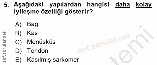 5. soru: Aşağıdaki yapılardan hangisi daha kolay iyileşme özelliği gösterir? A) Bag B) Kas C) Menüsküs D) Tendon E) Kasılmış s…