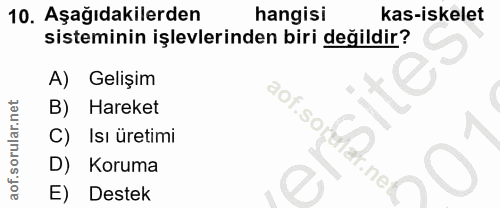 10. soru: Aşağıdakilerden hangisi kas-iskelet sisteminin işlevlerinden biri değildir? A) Gelişim aof.soi B) Hareket C) Isı üret…