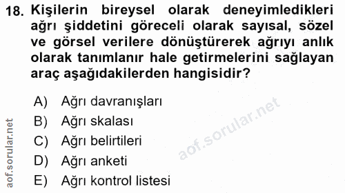 18. soru: Kişilerin bireysel olarak deneyimledikleri ağrı şiddetini göreceli olarak sayısal, sözel ve görsel verilere dönüştüre…