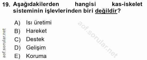 19. soru: Aşağıdakilerden hangisi kas-iskelet sisteminin işlevlerinden biri değildir? A) Isı üretimi B) Hareket C) Destek D) Ge…