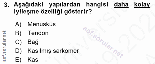 3. soru: Aşağıdaki yapılardan hangisi daha kolay iyileşme özelliği gösterir? A) Menüsküs B) Tendon Bağ D) Kasılmış sarkomer E)…