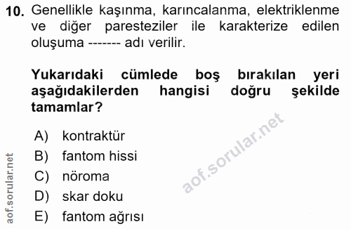 10. soru: Genellikle kaşınma, karıncalanma, elektriklenme ve diğer paresteziler ile karakterize edilen oluşuma -- adı verilir.…