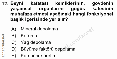 12. soru: Beyni kafatası kemiklerinin, gövdenin yaşamsal organlarını göğüs kafesinin muhafaza etmesi aşağıdaki hangi fonksiyone…
