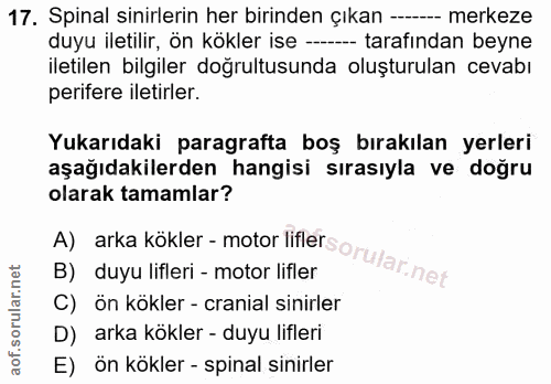 17. soru: Spinal sinirlerin her birinden çıkan --- merkeze duyu iletilir, ön kökler ise --- tarafından beyne iletilen bilgiler…