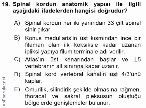 19. soru: Spinal kordun anatomik yapısı ile ilgili aşağıdaki ifadelerden hangisi doğrudur? A) Spinal kordun her iki yanından 33…