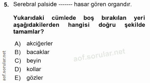 5. soru: Serebral palside --- hasar gören organdır. Yukarıdaki cümlede boş bırakılan yeri aşağıdakilerden hangisi doğru şekild…