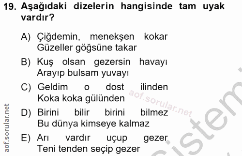 19. soru: Aşağıdaki dizelerin hangisinde tam uyak vardır? A) Çiğdemin, menekşen kokar Güzeller göğsüne takar B) Kuş olsan gezer…