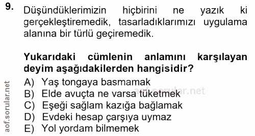 9. soru: Düşündüklerimizin hiçbirini ne yazık ki gerçekleştiremedik, tasarladıklarımızı uygulama alanına bir türlü geçiremedik…