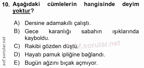 10. soru: Aşağıdaki cümlelerin hangisinde • deyim yoktur? A) Dersine adamakıllı çalıştı. B) Gece karanlığı sabahın ışıklarında…