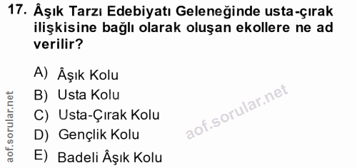 17. soru: Âşık Tarzı Edebiyatı Geleneğinde usta-çırak ilişkisine bağlı olarak oluşan ekollere ne ad verilir? A) Äşık Kolu B) Us…