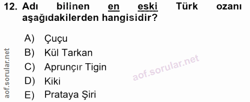 12. soru: Adı asağıdakilerden hangisidıki bilinen Türk ozanı A) Çuçu B) Kül Tarkan C) Aprunçır Tigin D) Kiki E) Prataya Şiri