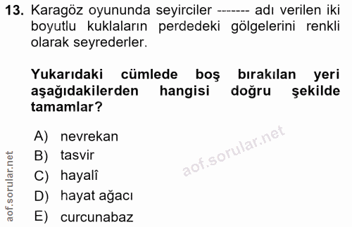 13. soru: Karagöz oyununda seyirciler --- adı verilen iki boyutlu kuklaların perdedeki gölgelerini renkli olarak seyrederler. Y…