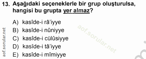 13. soru: Aşağıdaki seçeneklerle bir grup oluşturulsa, hangisi bu grupta yer almaz? A) kasîde-i râ'yye B) kasîde-i nûniyye C) k…