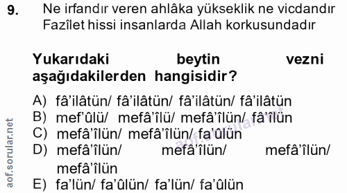 9. soru: Ne irfandır veren ahlâka yükseklik ne vicdandır Fazîlet hissi insanlarda Allah korkusundadır Yukarıdaki beytin vezni…