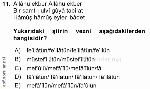 11. soru: Allâhu ekber Allâhu ekber Bir samt-ı ulvi güya tabi'at Hâmûş hâmûş eyler ibâdet Yukarıdaki şiirin vezni aşağıdakilerd…