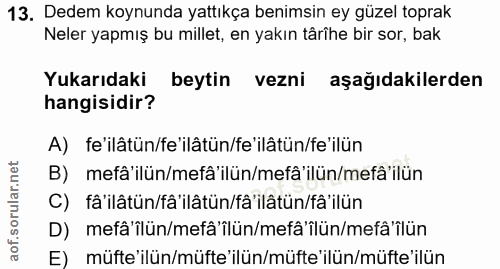 13. soru: Dedem koynunda yattıkça benimsin ey güzel toprak Neler yapmış bu millet, en yakın târîhe bir sor, bak Yukarıdaki beyt…