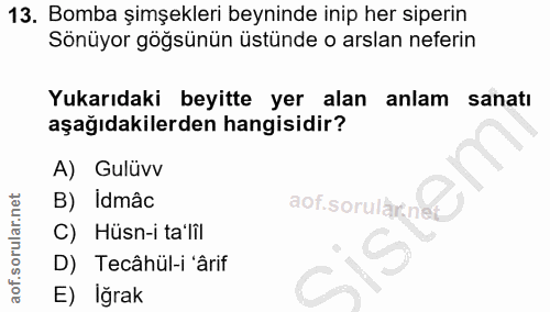 13. soru: Bomba şimşekleri beyninde inip her siperin Sönüyor göğsünün üstünde o arslan neferin Yukarıdaki beyitte yer alan anla…