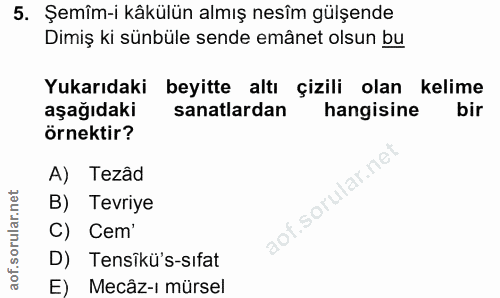 5. soru: Şemîm-i kâkülün almış nesîm gülşende Dimiş ki sünbüle sende emânet olsun bu Yukarıdaki beyitte altı çizili olan kelim…