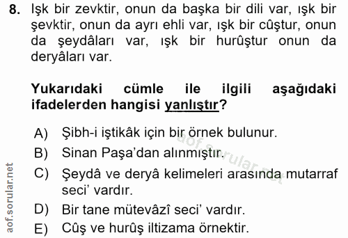 8. soru: Işk bir zevktir, onun da başka bir dili var, ışk bir şevktir, onun da ayrı ehli var, ışk bir cüştur, onun da şeydâlar…