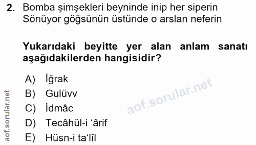 2. soru: Bomba şimşekleri beyninde inip her siperin Sönüyor göğsünün üstünde o arslan neferin Yukarıdaki beyitte yer alan anla…