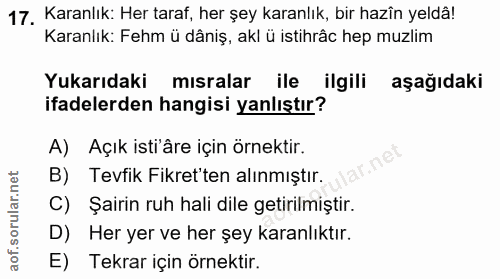17. soru: Karanlık: Her taraf, her şey karanlık, bir hazîn yeldâ! Karanlık: Fehm ü dâniş, akl ü istihrâc hep muzlim Yukarıdaki…