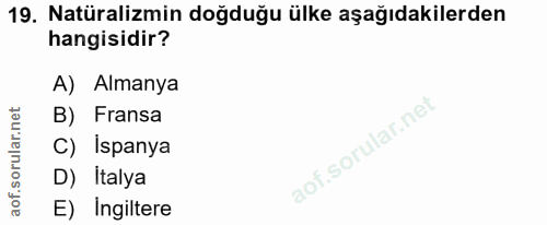 19. soru: Natüralizmin doğduğu ülke aşağıdakilerden hangisidir? A) Almanya B) Fransa C) Ispanya D) Italya E) Ingiltere