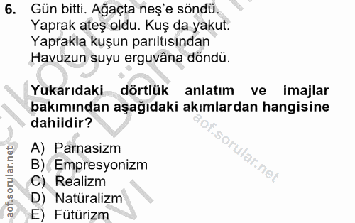 6. soru: Gün bitti. Ağaçta neş'e söndü. Yaprak ateş oldu. Kuş da yakut. Yaprakla kuşun parıltısından Havuzun suyu erguvâna dön…