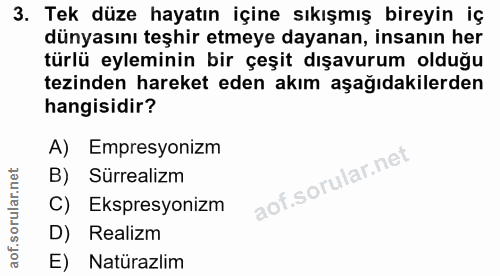 3. soru: Tek düze hayatın içine sıkışmış bireyin iç dünyasını teşhir etmeye dayanan, insanın her türlü eyleminin bir çeşit dış…