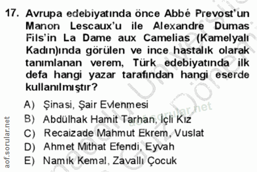 17. soru: Avrupa edebiyatinda önce Abbé Prevost'un Manon Lescaux'u ile Alexandre Dumas Fils'in La Dame aux Camelias (Kamelyalı…