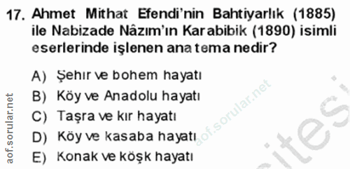 17. soru: Ahmet Mithat Efendi'nin Bahtiyarlık (1885) ile Nabizade Nâzım'ın Karabibik (1890) isimli eserlerinde işlenen ana tema…