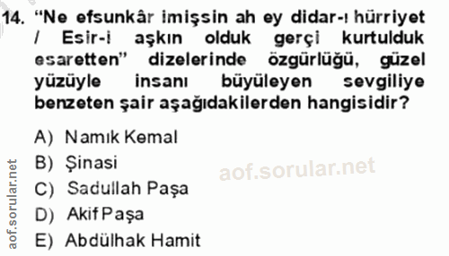 14. soru: "Ne efsunkâr imişsin ah ey didar-ı hürriyet / Esir-i aşkın olduk gerçi kurtulduk esaretten" dizelerinde özgürlüğü, gü…