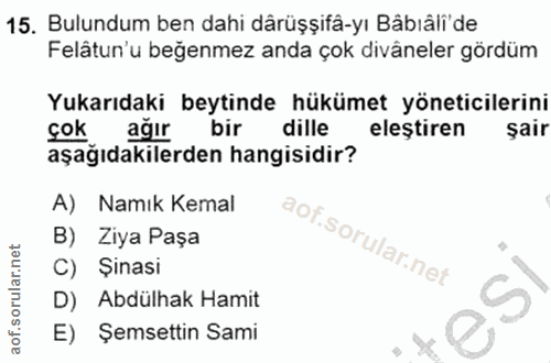 15. soru: Bulundum ben dahi dârüşşifâ-yı Bâbıâli'de Felâtun'u beğenmez anda çok divâneler gördüm Yukarıdaki beytinde hükümet yö…