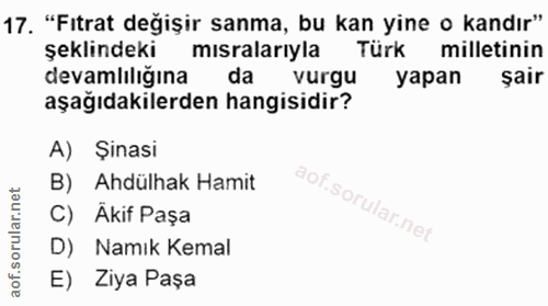 17. soru: "Fıtrat değişir sanma, bu kan yine o kandır" şeklindeki mısralarıyla Türk milletinin devamlıliğina da vurgu yapan şai…