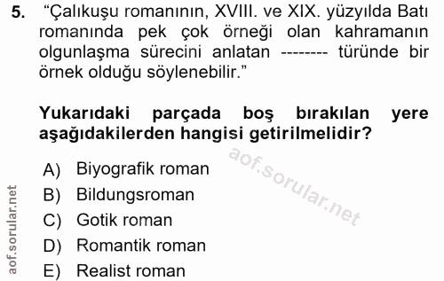 5. soru: "Çalıkuşu romanının, XVIII. ve XIX. yüzyılda Batı romanında pek çok örneği olan kahramanın olgunlaşma sürecini anlata…