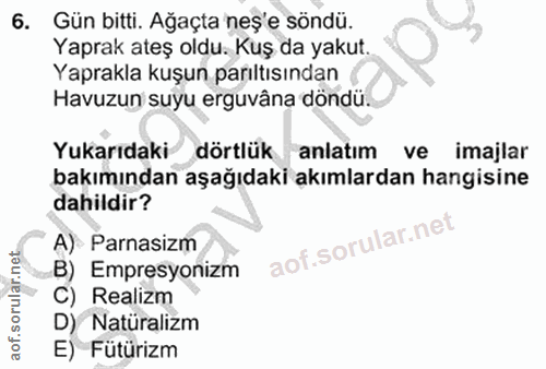 6. soru: Gün bitti. Ağaçta neş'e söndü. Yaprak ateş oldu. Kuş da yakut. Yaprakla kuşun parıltısından Havuzun suyu erguvâna dön…
