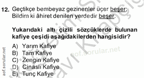 12. soru: Geçtikçe bembeyaz gezinenler üçer beşer; Bildim ki âhiret denilen yerdedir beşer. Yukarıdaki altı çizili sözcüklerde…