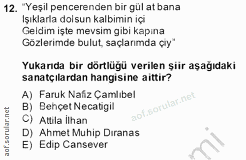 12. soru: "Yeşil pencerenden bir gül at bana Işıklarla dolsun kalbimin içi Geldim işte mevsim gibi kapına Gözlerimde bulut, saç…