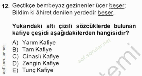 12. soru: Geçtikçe bembeyaz gezinenler üçer beşer; Bildim ki ähiret denilen yerdedir beşer. Yukarıdaki altı çizili sözcüklerde…