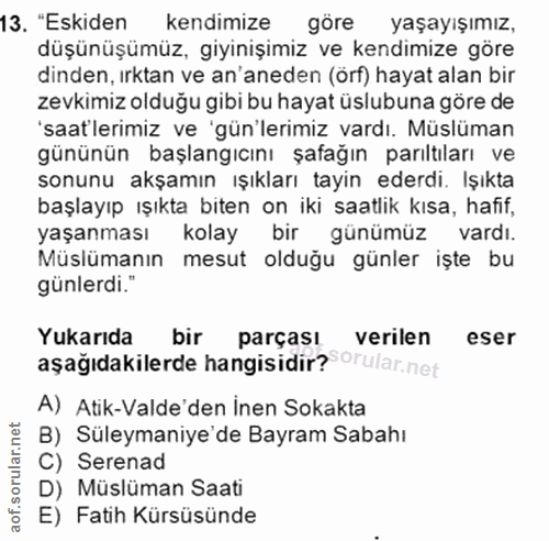 13. soru: "Eskiden kendimize göre yaşayışımız, düşünüşümüz, giyinişimiz ve kendimize göre dinden, ırktan ve an'aneden (örf) hay…