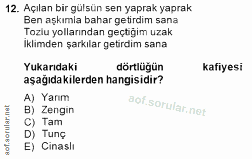 12. soru: Açılan bir gülsün sen yaprak yaprak Ben aşkımla bahar getirdim sana Tozlu yollarından geçtiğim uzak Iklimden şarkılar…