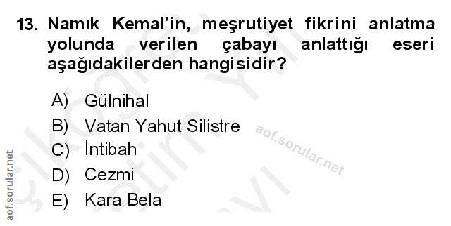13. soru: Namık Kemal'in, meşrutiyet fikrini anlatma yolunda verilen çabayı anlattığı eseri aşağıdakilerden hangisidir? A) Guln…