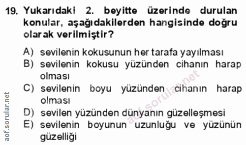 19. soru: Yukarıdaki 2. beyitte üzerinde durulan konular, aşağıdakilerden hangisinde doğru olarak verilmiştir? A) sevilenin kok…