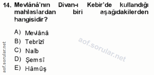 14. soru: Mevlânâ'nın Divan-l Kebir'de kullandığı mahlaslardan biri aşağıdakilerden hangisidir? A) Mevânâ rular.net B) Tebrizi…