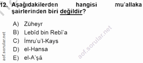 12. soru: Aşağıdakilerden hangisi mu'allaka şairlerinden biri değildir? A) Züheyr B) Lebid bin Rebi'a C) imru'u'l-Kays D) el-Ha…