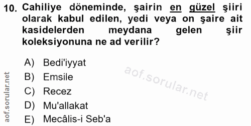 10. soru: Cahiliye döneminde, şairin en güzel şiiri olarak kabul edilen, yedi veya on şaire ait kasidelerden meydana gelen şiir…